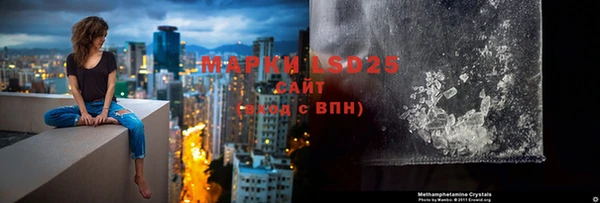 гашик Баксан