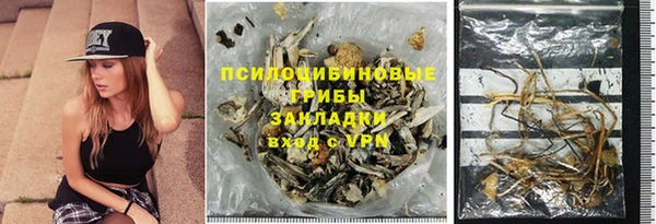 гашик Баксан
