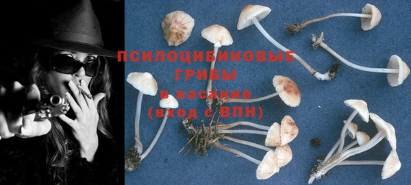 синтетический гашиш Протвино