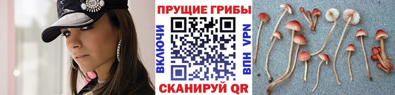 Галлюциногенные грибы мухоморы  Боготол 